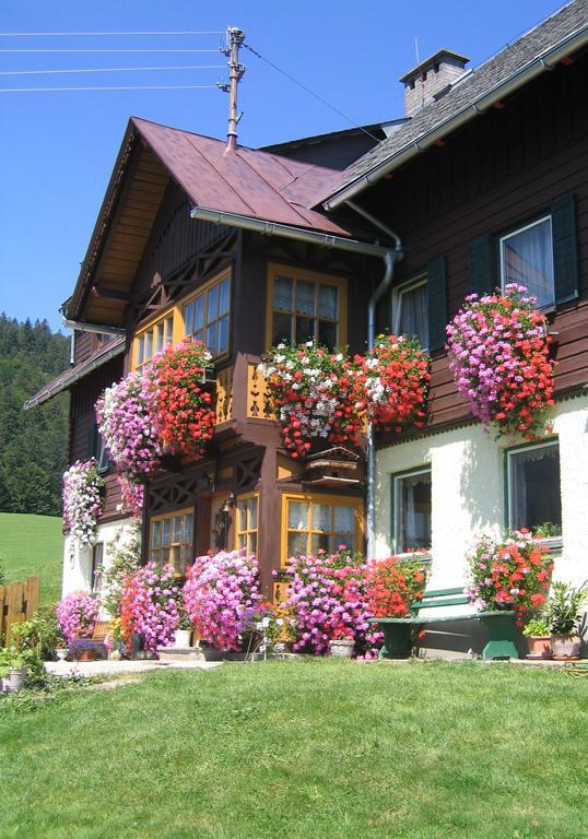 Bauernhof Haim-Schnepfleitner Pichl bei Aussee Exterior photo