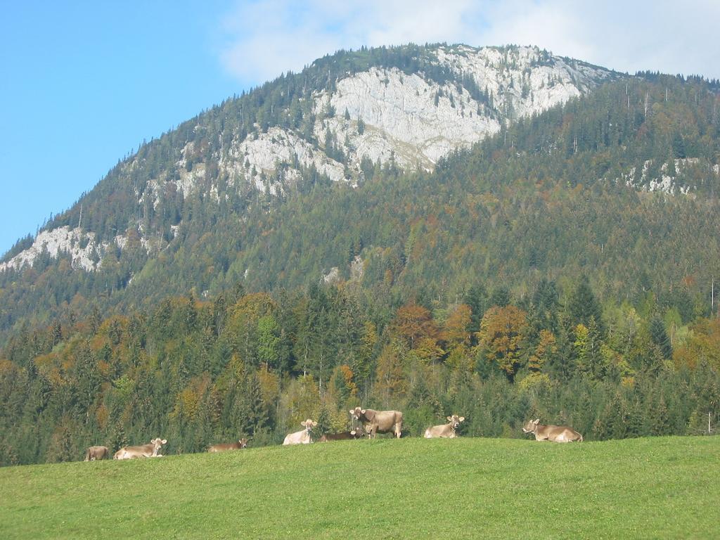 Bauernhof Haim-Schnepfleitner Pichl bei Aussee Exterior photo